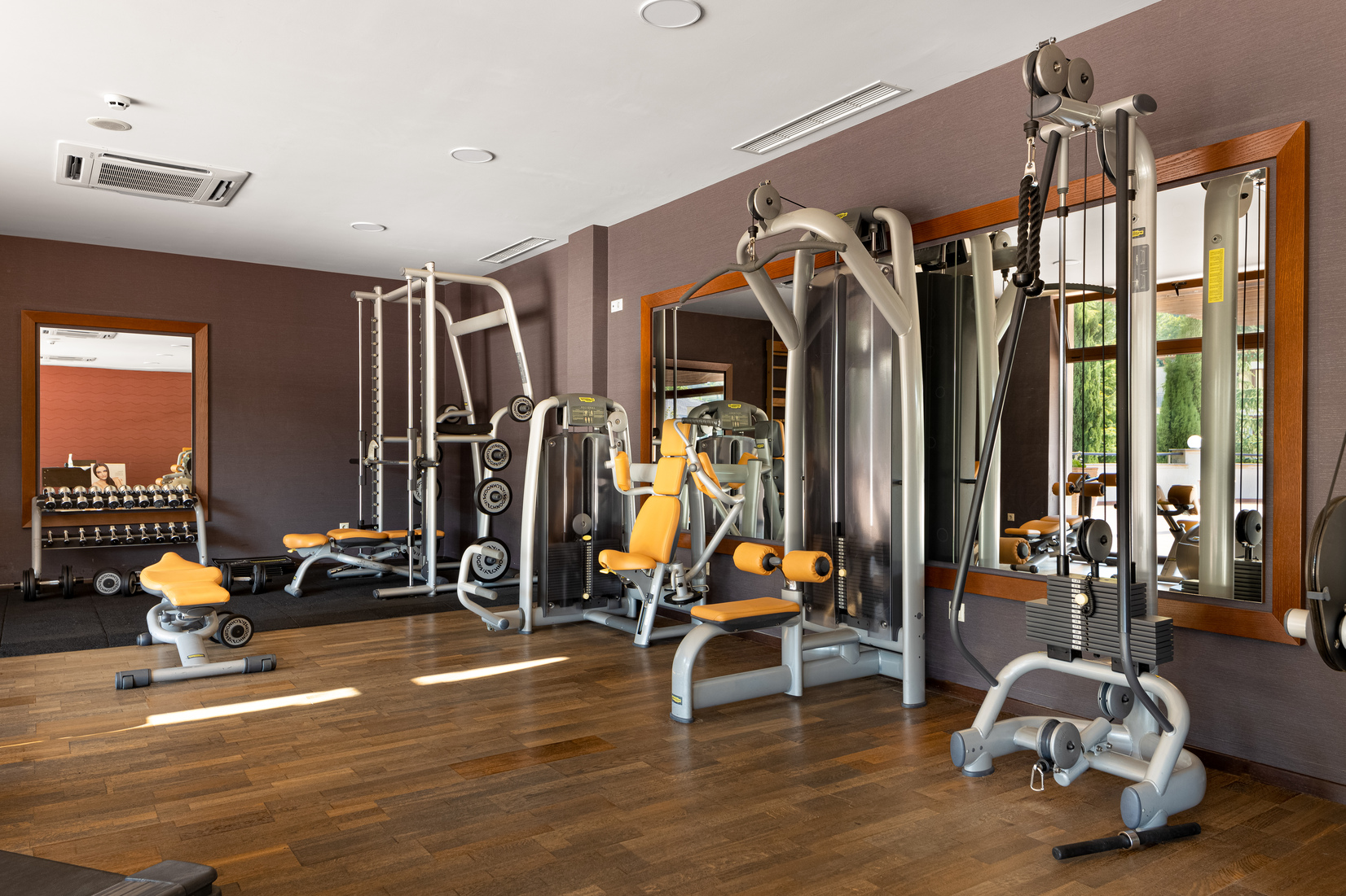 Sport & Health