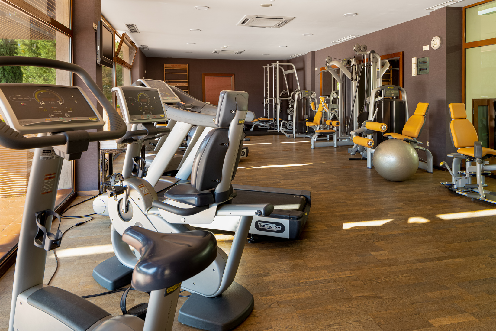 Sport & Health